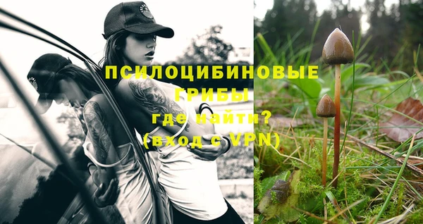 крисы Балабаново