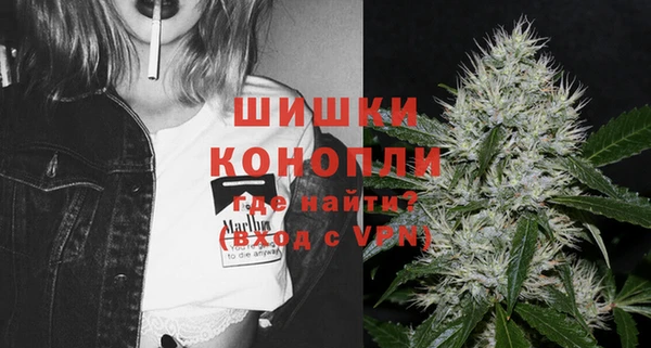 стаф Балахна