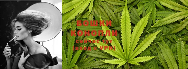 стаф Балахна