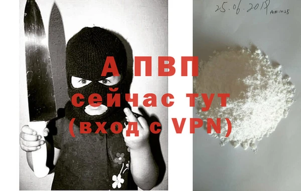 стаф Балахна